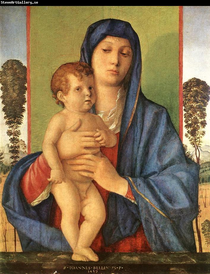 BELLINI, Giovanni Madonna degli Alberetti  25